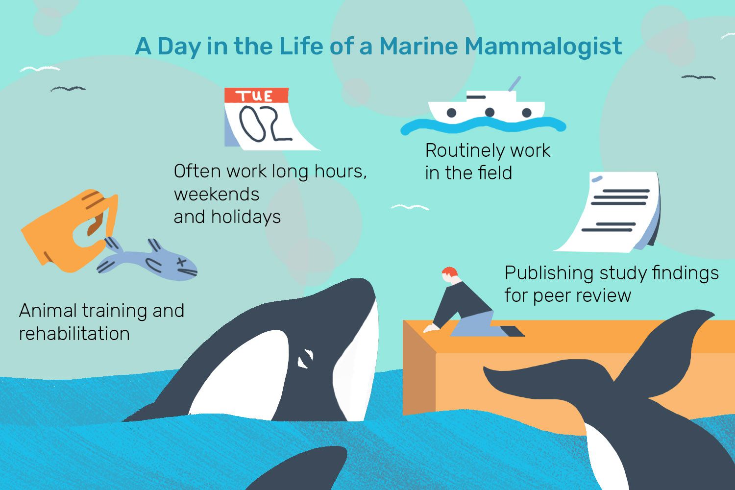 A Day in the Life of a Marine Mammalogist