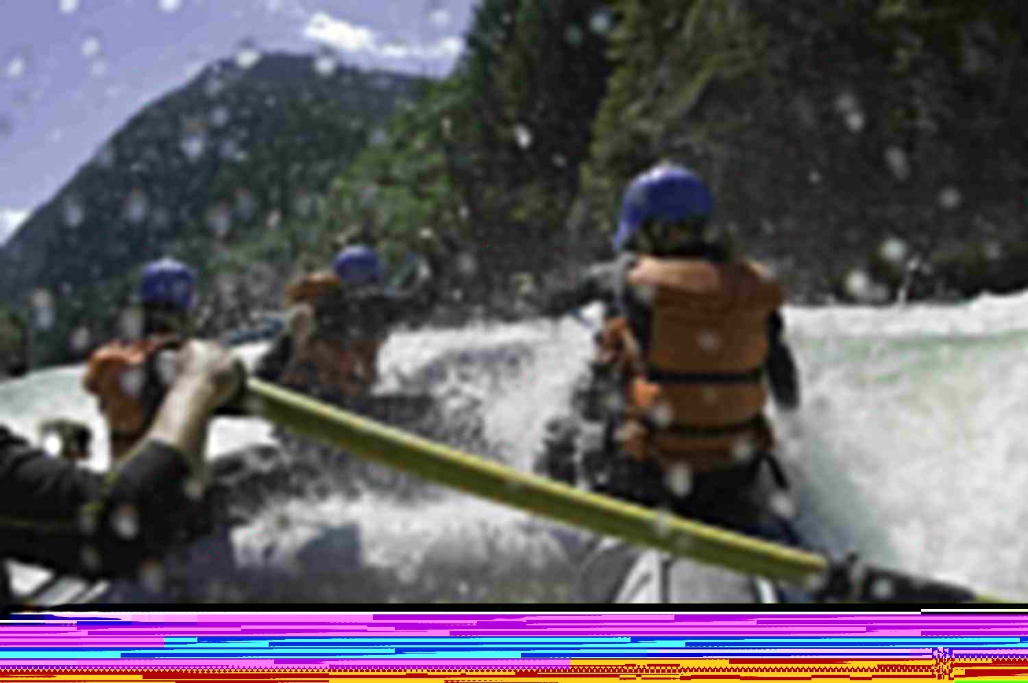 Group of people white water rafting, rear view