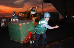 a woman wearing a construction helmet and pulling a pallet full of supplies with a dolly