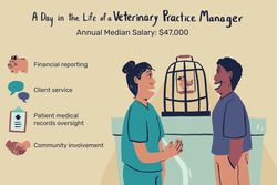 A day in the life of a veterinary practice manager: Financial reporting, client service, patient medical records oversight, community involvement