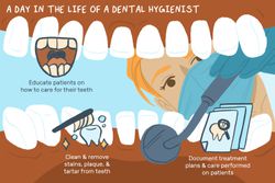 a day in the life of a dental hygienist 