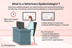 What is a veterinary epidemiologist? Veterinary epidemiologists are veterinarians with advanced training in monitoring, controlling and preventing disease in animal populations. Most work regular ours. A basic Doctor of Veterinary Medicine (DVM) degree is required. May find jobs at research laboratories, academic institutions, private corporations, government organizations